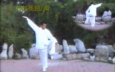 《028.略懂的Wu术》 强体魄，养心性。2008年，接触“茂斋老架太极拳”。心好奇，身好动。2012年，接触“法国面具男”